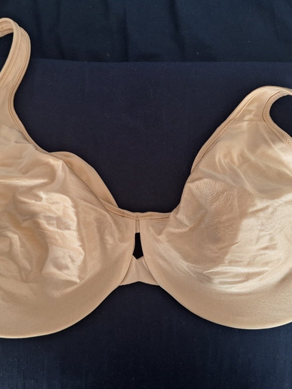 Lilyette Bra 38DDD